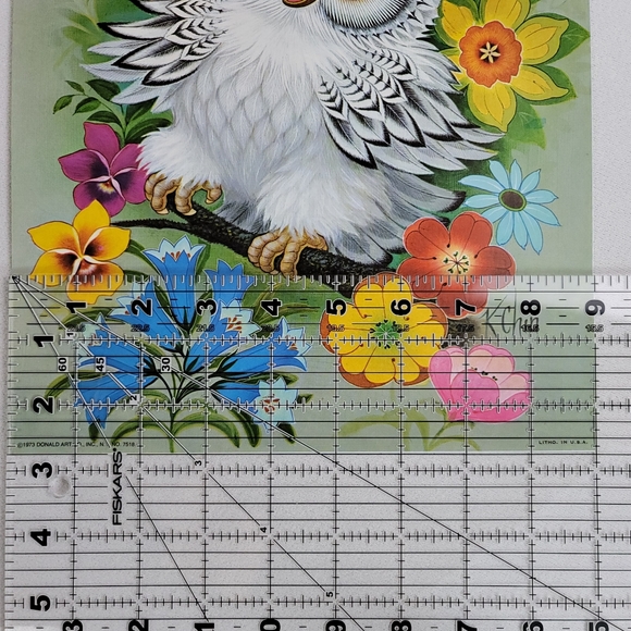 Vtg 1973 The Wise Owls Color Prints By K Chin - First Edition - Picture 9 of 16